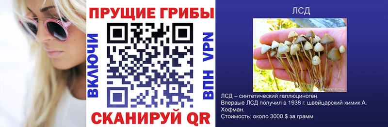 Галлюциногенные грибы GOLDEN TEACHER  Дубна 