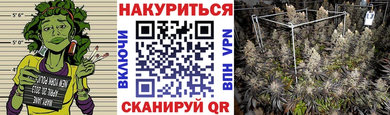 Бошки Шишки THC 21%  как найти наркотики  Дубна 